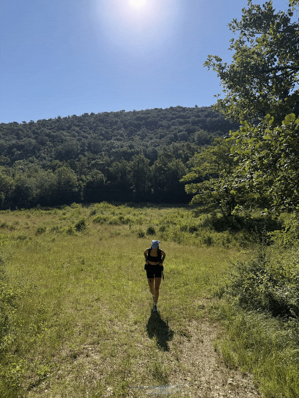 Rhodora Retreats
