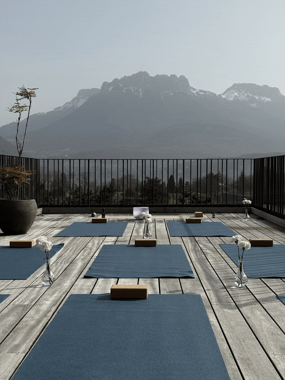 Rhodora Retreats